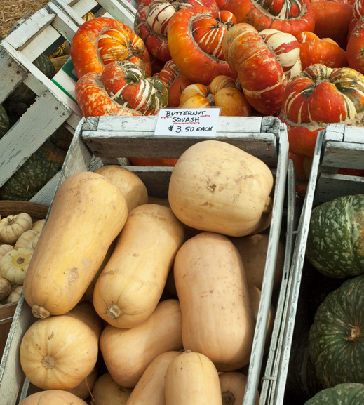 butternut squash