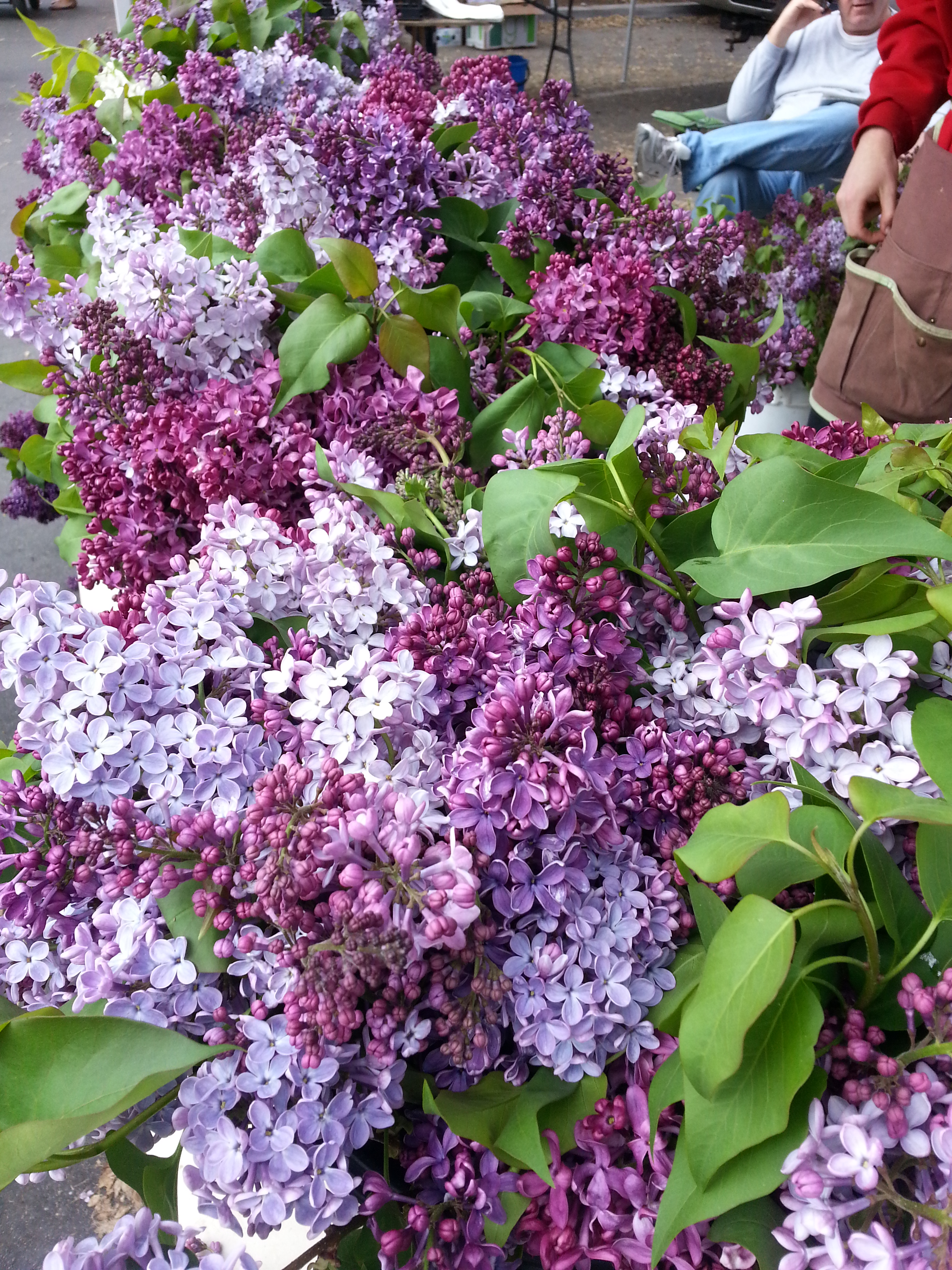 Mother's Day Weekend Farmers Market Cooking Class
