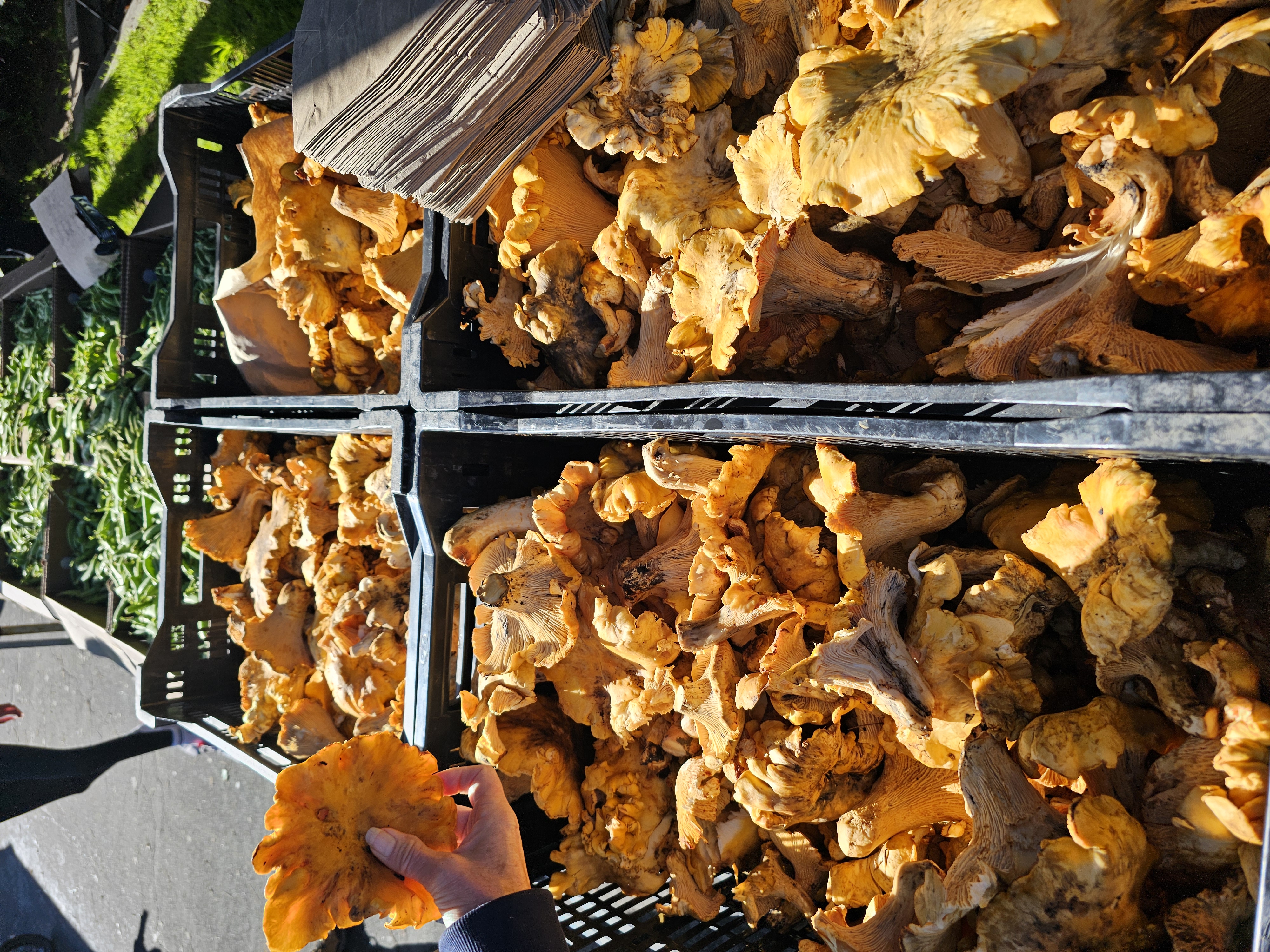 Farmer's Market Tour, Cooking Class and Lunch