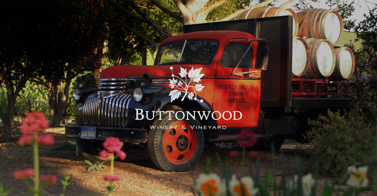 Buttonwood Winery Cooking Class and Lunch