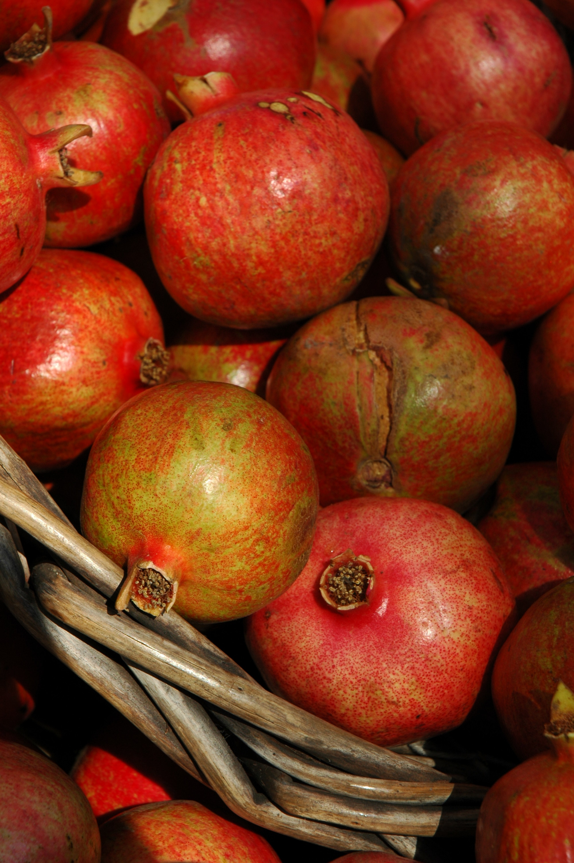 Annual Everything But The Turkey Cooking Class