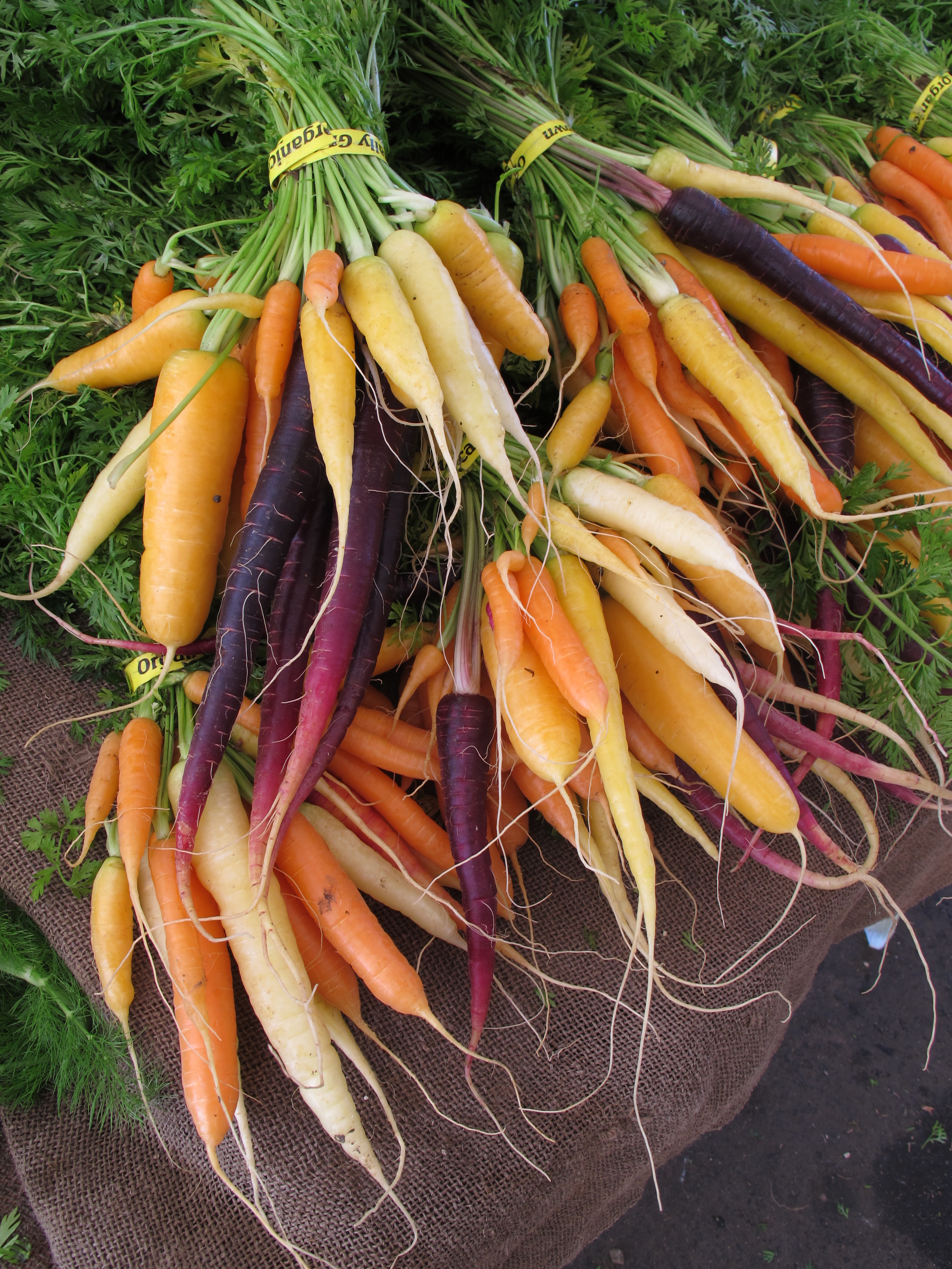 Farmer's Market Tour, Cooking Class and Lunch