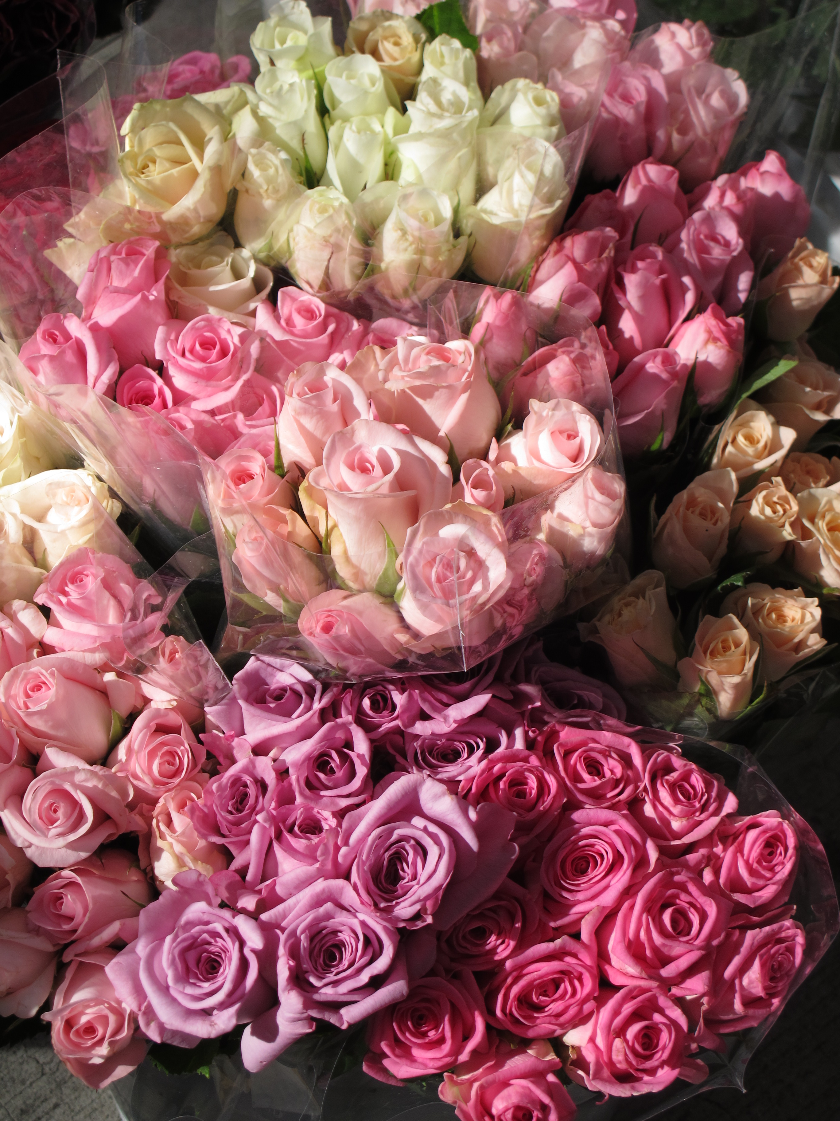 Valentine's Day Farmer's Market Tour, Cooking Class and Lunch