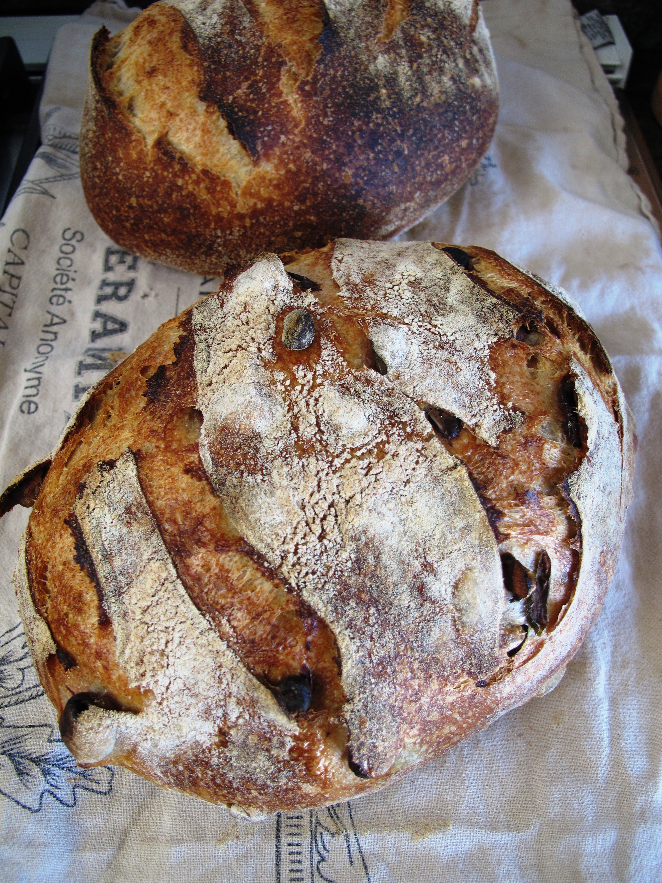 Sourdough Bread Workshop