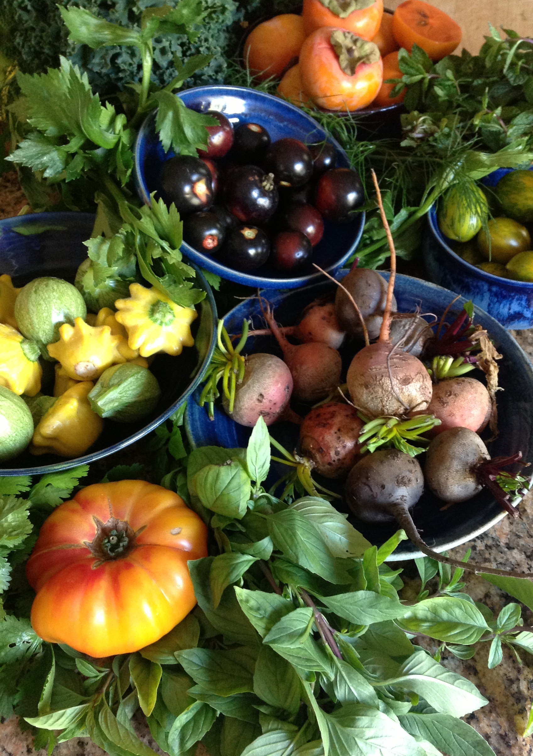 Farmer's Market Tour, Cooking Class and Lunch